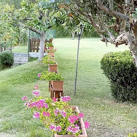 La Quiete 3*